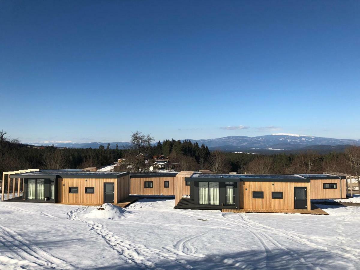 Chaletpark Petzen Hotel Feistritz ob Bleiburg Exterior foto