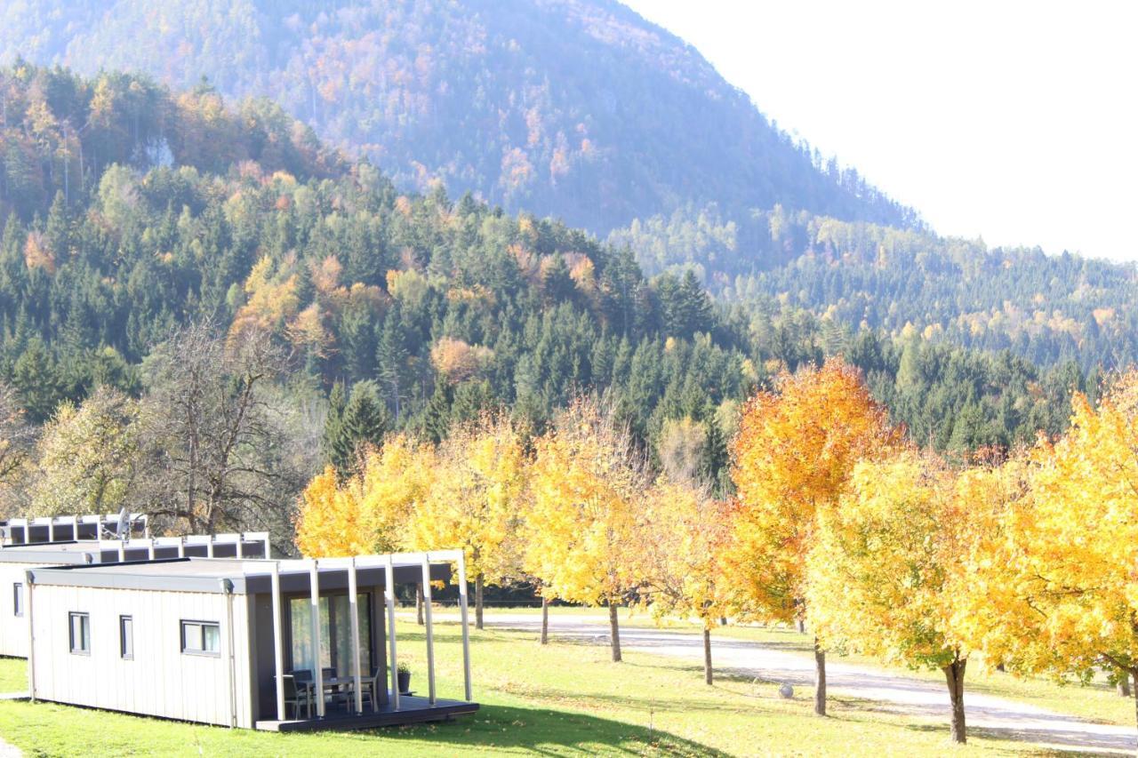 Chaletpark Petzen Hotel Feistritz ob Bleiburg Exterior foto