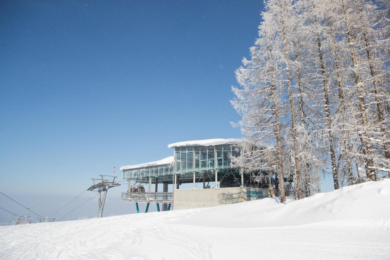 Chaletpark Petzen Hotel Feistritz ob Bleiburg Exterior foto